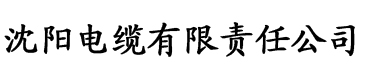 樱桃视频αPP污黄电缆厂logo